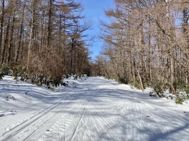 北海道 雪道